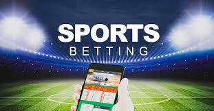Explore the Best Crypto Casinos With Daily Payout Stats 13