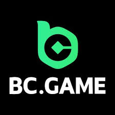 Comprehensive BC App Reviews Find the Best Features for Your Needs
